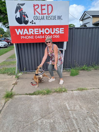 Red Collar Rescue Bundaberg