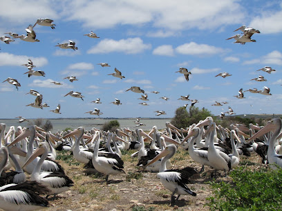 Wildlife Welfare Organisation (SA) inc